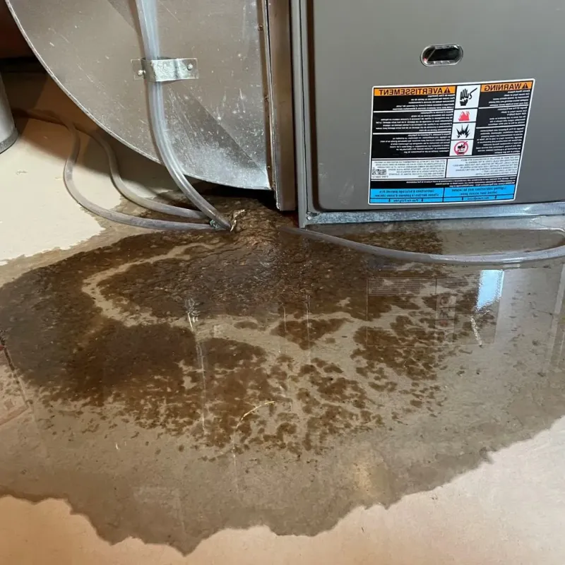 Pipe Burst and Leak Restoration in City of Martinsville, VA