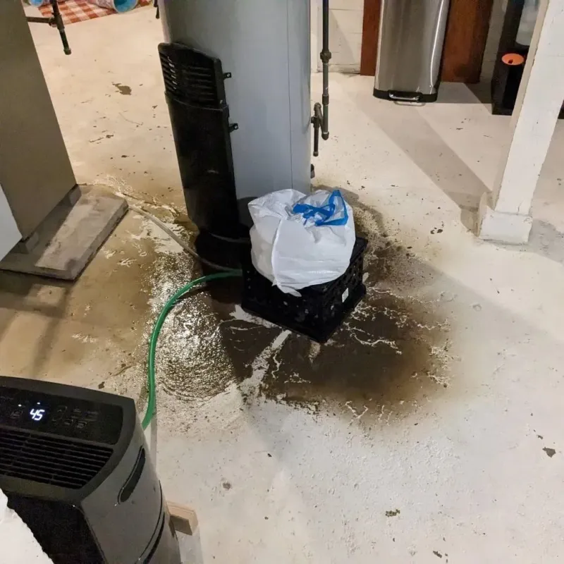 Sewage Backup Cleanup Service in City of Martinsville, VA